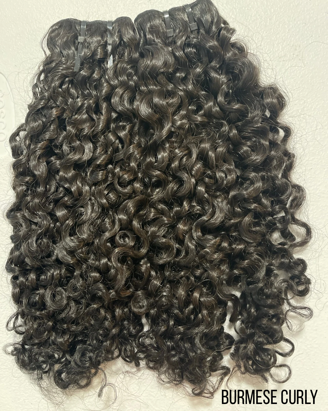 Raw Burmese Curly